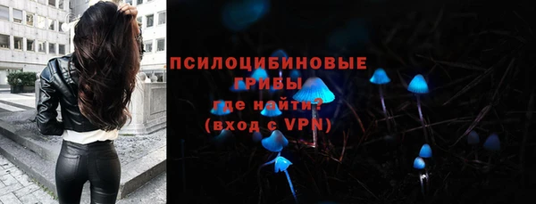 МДПВ Вязьма