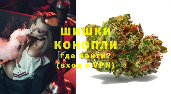 МДПВ Вязьма