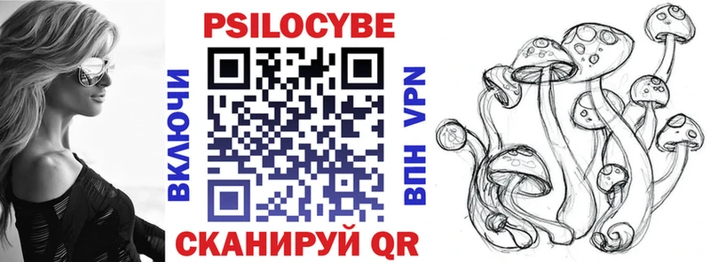 Купить  Магадан  Галлюциногенные грибы прущие грибы 